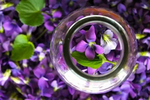 تصویر 1 از خرید شربت عرق بهار نارنج + قیمت فروش استثنایی
